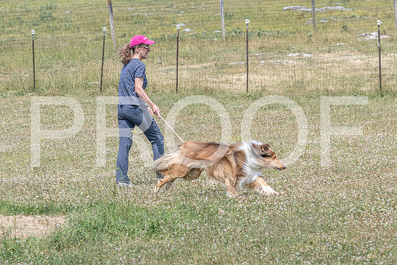 NBD_June 2023 Herding Pre Trial Sat-86