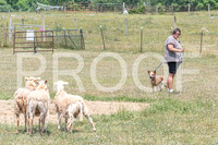 NBD_June 2023 Herding Pre Trial Sat-1