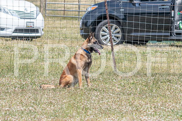 NBD_June 2023 Herding Pre Trial Sat-50