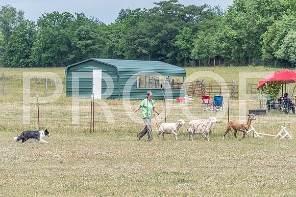 NBD_June 2023 Herding Pre Trial Sat-120