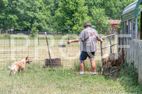 NBD_June 2023 Herding Pre Trial Sat-19