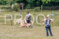 NBD_June 2023 Herding Pre Trial Sat-6