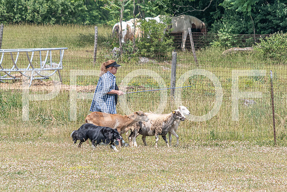 NBD_June 2023 Herding Pre Trial Sat-56