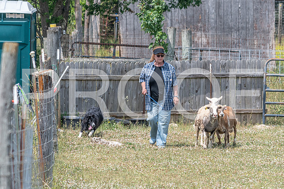 NBD_June 2023 Herding Pre Trial Sat-78