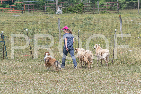 NBD_June 2023 Herding Pre Trial Sat-87
