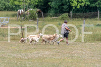 NBD_June 2023 Herding Pre Trial Sat-10