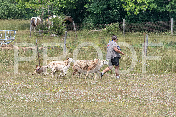 NBD_June 2023 Herding Pre Trial Sat-10