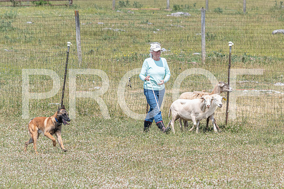 NBD_June 2023 Herding Pre Trial Sat-45