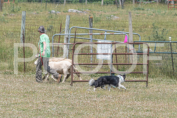 NBD_June 2023 Herding Pre Trial Sat-112