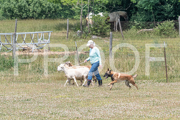 NBD_June 2023 Herding Pre Trial Sat-30
