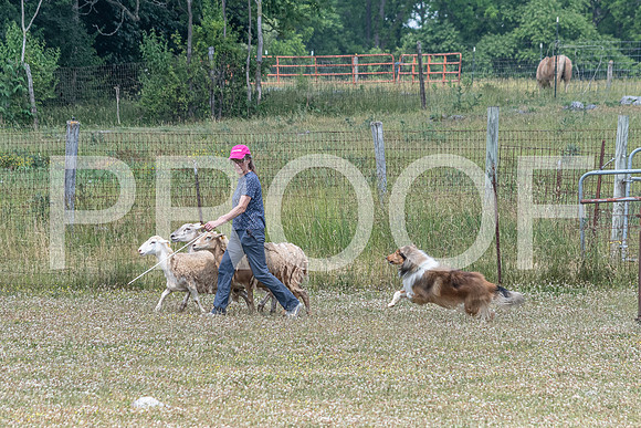 NBD_June 2023 Herding Pre Trial Sat-89