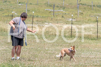 NBD_June 2023 Herding Pre Trial Sat-2