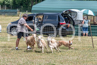 NBD_June 2023 Herding Pre Trial Sat-18