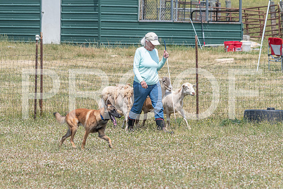 NBD_June 2023 Herding Pre Trial Sat-49