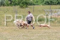 NBD_June 2023 Herding Pre Trial Sat-7
