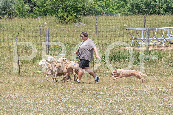 NBD_June 2023 Herding Pre Trial Sat-7