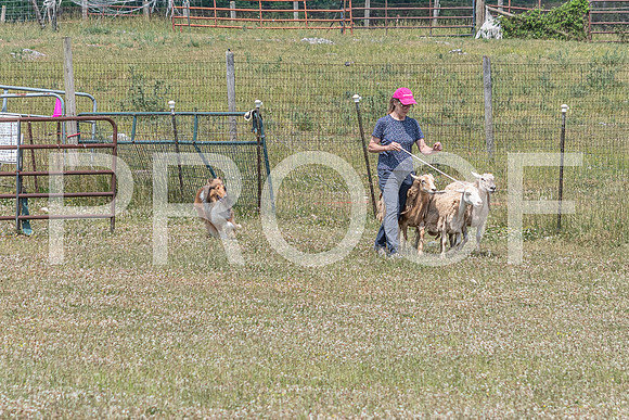 NBD_June 2023 Herding Pre Trial Sat-101