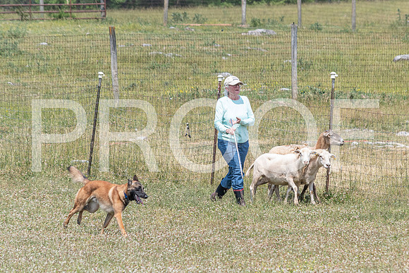 NBD_June 2023 Herding Pre Trial Sat-46