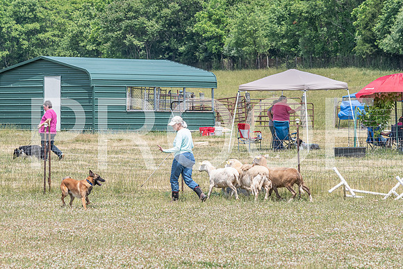 NBD_June 2023 Herding Pre Trial Sat-23
