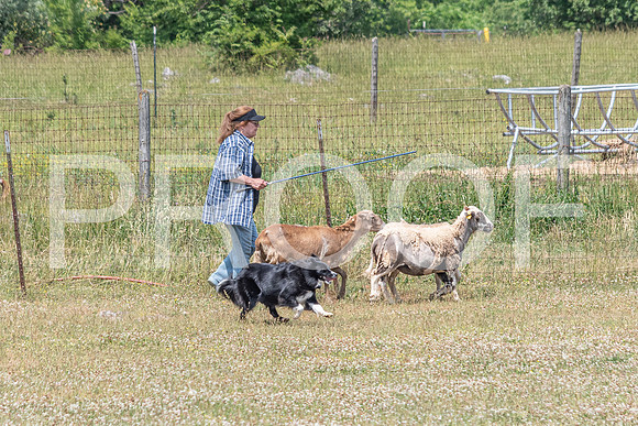 NBD_June 2023 Herding Pre Trial Sat-55