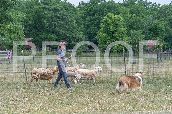 NBD_June 2023 Herding Pre Trial Sat-106