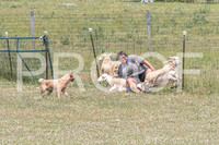 NBD_June 2023 Herding Pre Trial Sat-5