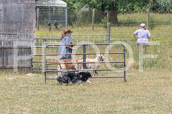 NBD_June 2023 Herding Pre Trial Sat-54