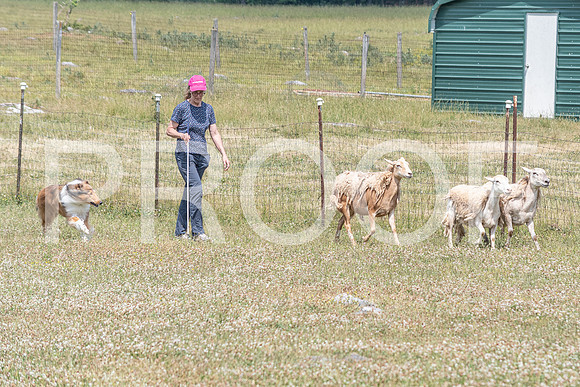 NBD_June 2023 Herding Pre Trial Sat-103