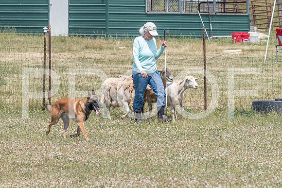 NBD_June 2023 Herding Pre Trial Sat-48