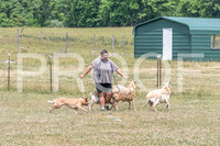NBD_June 2023 Herding Pre Trial Sat-3