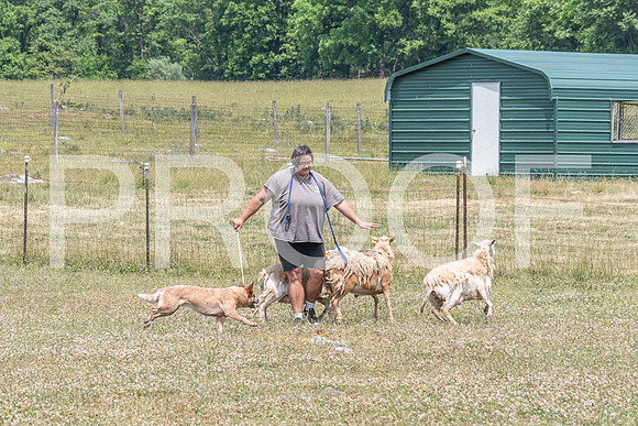 NBD_June 2023 Herding Pre Trial Sat-3