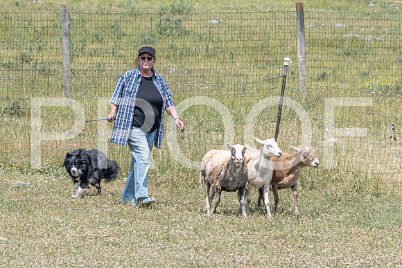 NBD_June 2023 Herding Pre Trial Sat-62