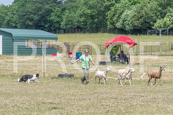 NBD_June 2023 Herding Pre Trial Sat-121