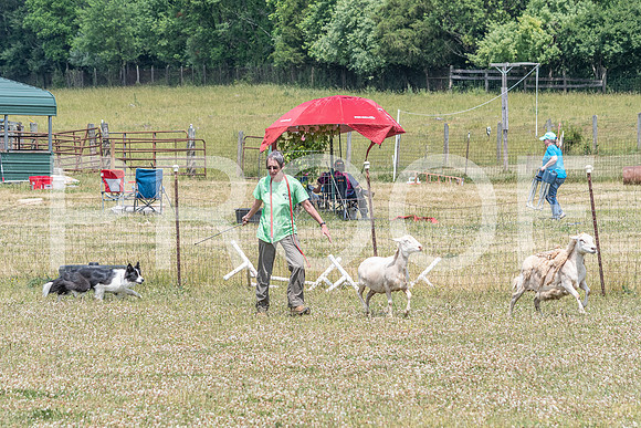 NBD_June 2023 Herding Pre Trial Sat-122