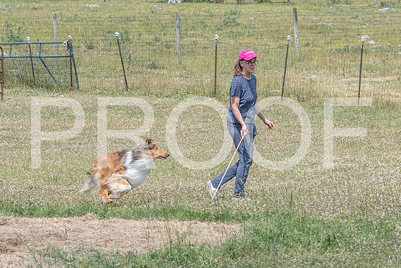 NBD_June 2023 Herding Pre Trial Sat-84