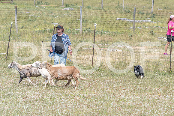 NBD_June 2023 Herding Pre Trial Sat-65