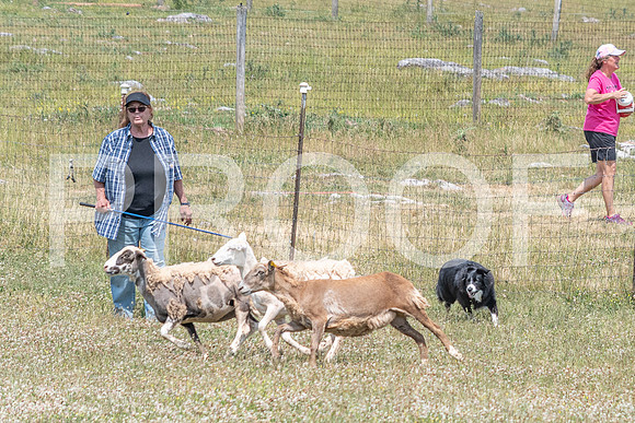 NBD_June 2023 Herding Pre Trial Sat-64