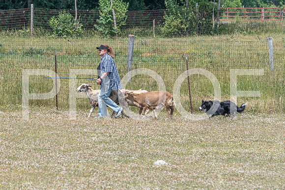 NBD_June 2023 Herding Pre Trial Sat-71
