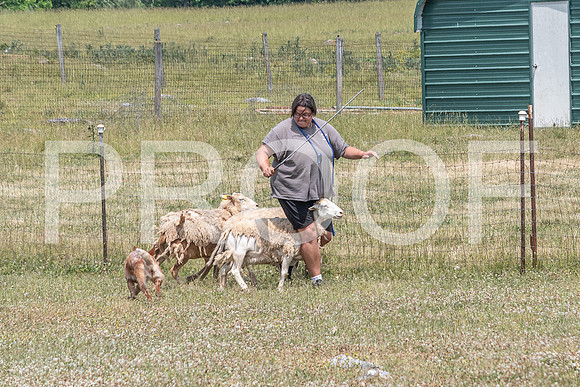 NBD_June 2023 Herding Pre Trial Sat-12