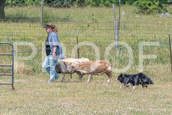 NBD_June 2023 Herding Pre Trial Sat-77