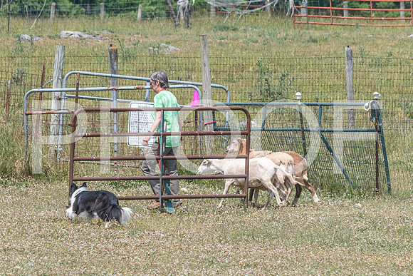 NBD_June 2023 Herding Pre Trial Sat-111