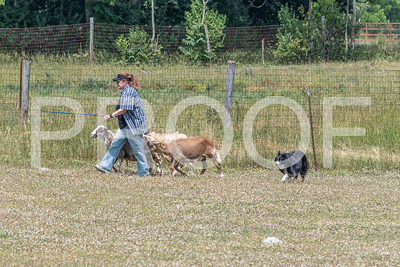 NBD_June 2023 Herding Pre Trial Sat-72