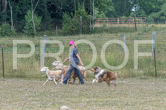 NBD_June 2023 Herding Pre Trial Sat-90