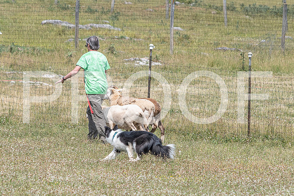 NBD_June 2023 Herding Pre Trial Sat-108