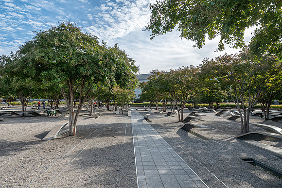 NBP_NW OR Fall-127