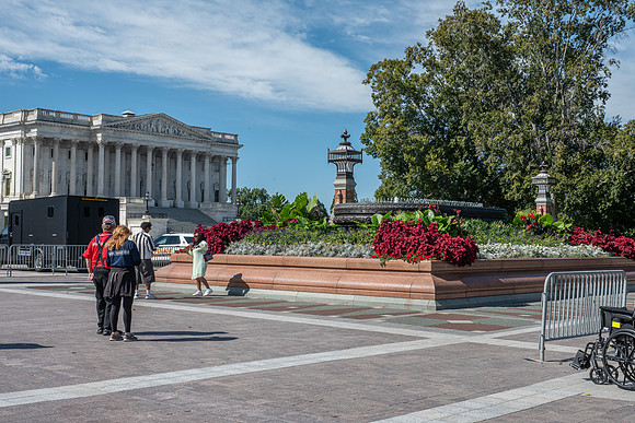 NBP_NW OR Fall-272