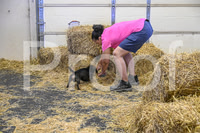 NBP_Barn hunt-258