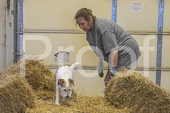 NBP_Barn hunt-481