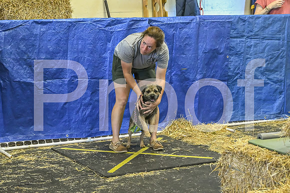 NBP_Barn hunt-100