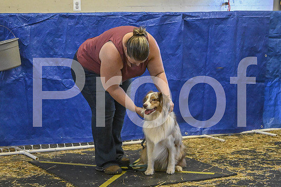 NBP_Barn hunt-499
